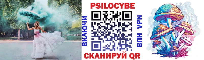 kraken как зайти  Тайшет  Галлюциногенные грибы мицелий  даркнет сайт 