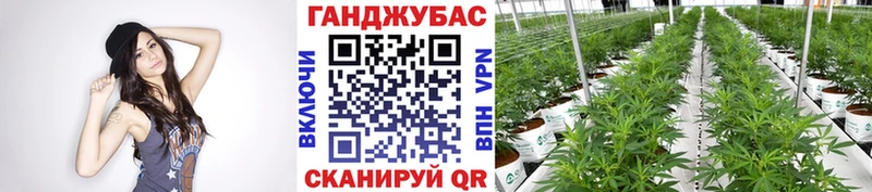 МАРИХУАНА Amnesia  наркота  Тайшет 